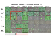 Pollinator habitat coverage in response to herbicide treatments